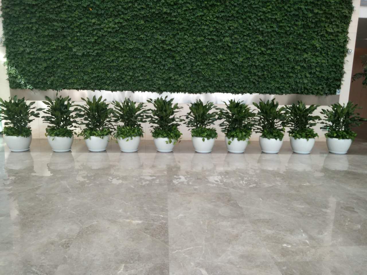 西咸管委會(huì)大廳