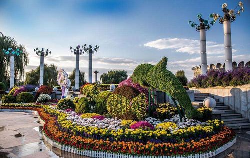 世界花卉大觀園可夜游賞菊