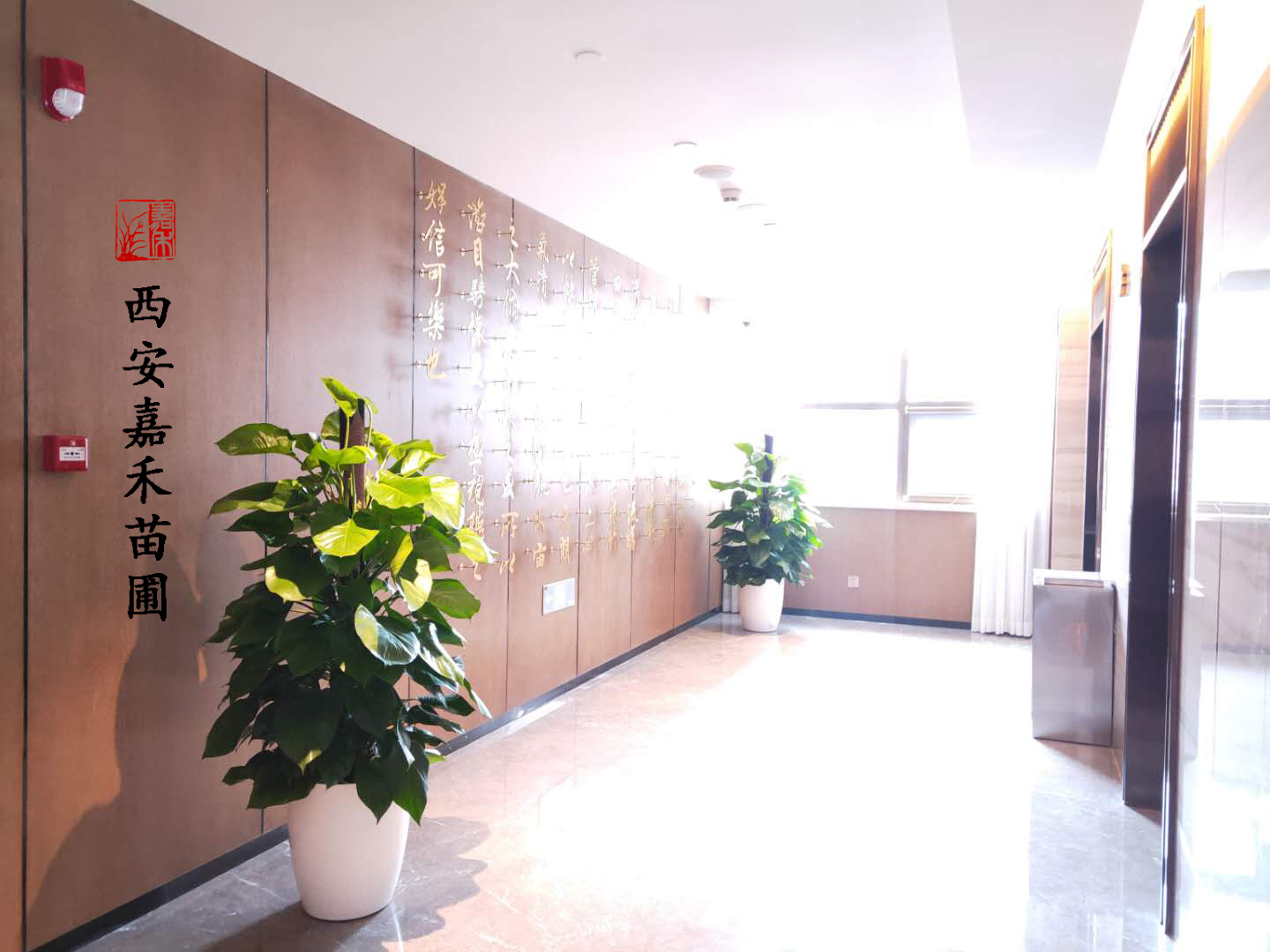 西安醫(yī)院綠植花卉租擺設(shè)計