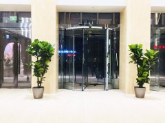 醫(yī)院辦公室租賃必備綠植！