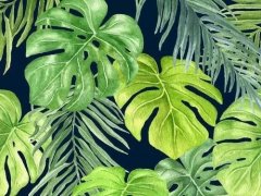 醫(yī)院花卉租擺的植物可以吸收污染的空氣？