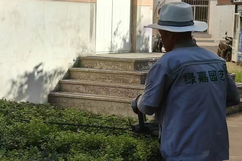 園林養(yǎng)護的器具該如何保養(yǎng)？