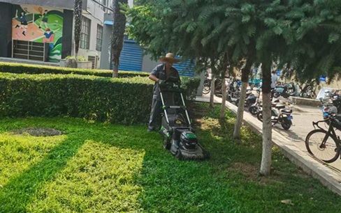 草坪綠化養(yǎng)護(hù)：陜西嘉潤(rùn)園林