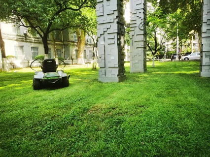 草坪綠化養(yǎng)護(hù)：陜西嘉潤(rùn)園林