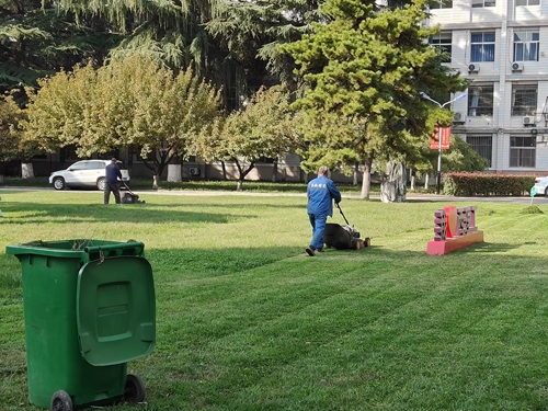 冬季草坪養(yǎng)護怎么辦？