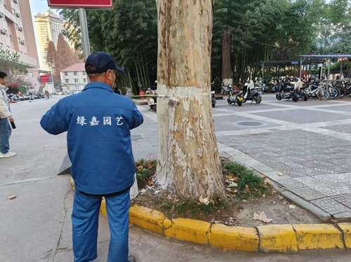 陜西嘉潤(rùn)園林