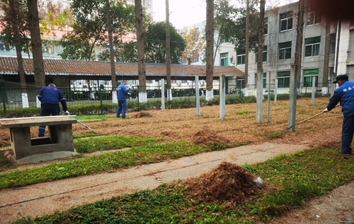 秋冬季綠化養(yǎng)護知識