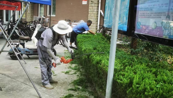 園林綠化養(yǎng)護(hù)的基本工作內(nèi)容