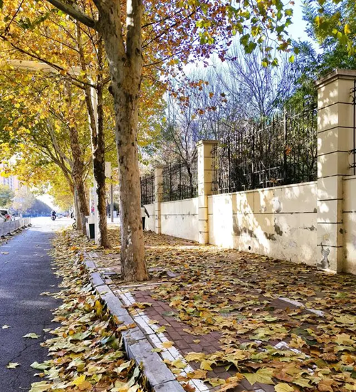 陜西嘉潤(rùn)園林