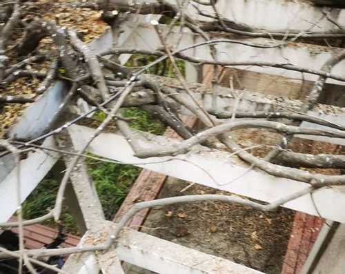 陜西嘉潤(rùn)園林