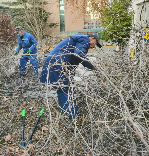 陜西嘉潤(rùn)園林