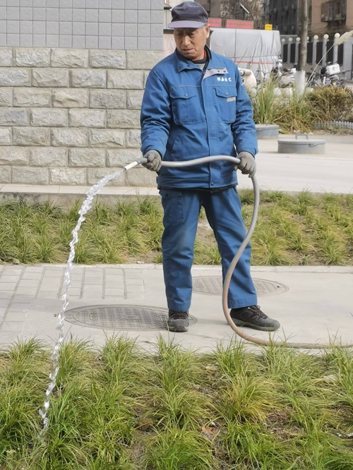 ?樹木冬季怎樣養(yǎng)護(hù)